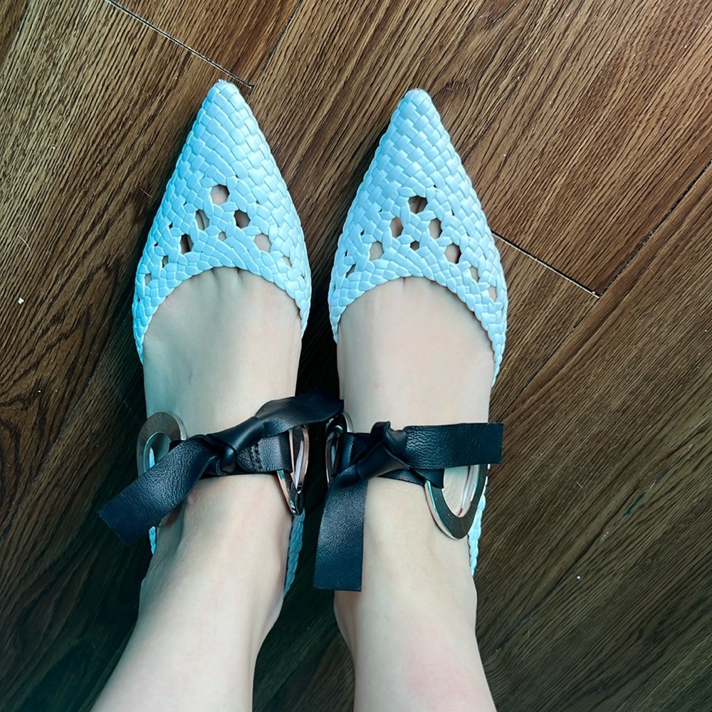 Proenza shoes